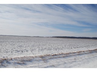 Tract 4 - Major Illinois Farmland Auction - 1,322+/- Acres Offered in 9 Tracts