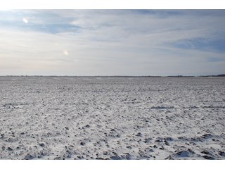 Tract 4 - Major Illinois Farmland Auction - 1,322+/- Acres Offered in 9 Tracts