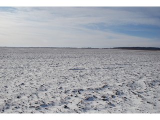 Tract 4 - Major Illinois Farmland Auction - 1,322+/- Acres Offered in 9 Tracts