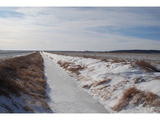 Tract 4 & 5 - Major Illinois Farmland Auction - 1,322+/- Acres Offered in 9 Tracts
