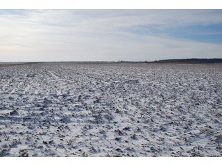 Tract 5 - Major Illinois Farmland Auction - 1,322+/- Acres Offered in 9 Tracts