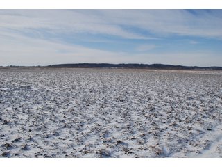 Tract 5 - Major Illinois Farmland Auction - 1,322+/- Acres Offered in 9 Tracts