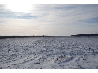 Tract 6 - Major Illinois Farmland Auction - 1,322+/- Acres Offered in 9 Tracts