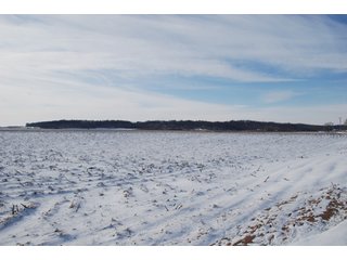 Tract 6 - Major Illinois Farmland Auction - 1,322+/- Acres Offered in 9 Tracts