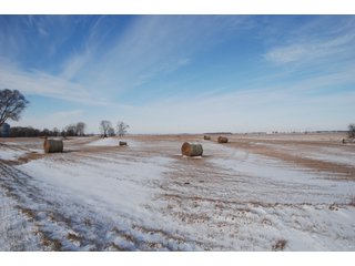 Tract 7 - Major Illinois Farmland Auction - 1,322+/- Acres Offered in 9 Tracts