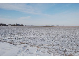 Tract 8 - Major Illinois Farmland Auction - 1,322+/- Acres Offered in 9 Tracts