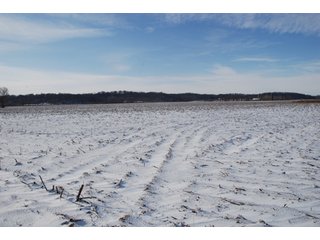 Tract 8 & Access to Tract 9 - Major Illinois Farmland Auction - 1,322+/- Acres Offered in 9 Tracts