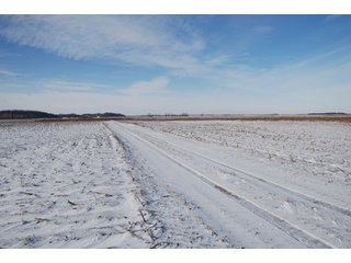 Tract 8 & 9 - Major Illinois Farmland Auction - 1,322+/- Acres Offered in 9 Tracts