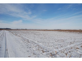 Tract 9 - Major Illinois Farmland Auction - 1,322+/- Acres Offered in 9 Tracts