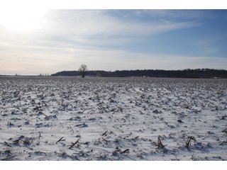 Tract 8 - Major Illinois Farmland Auction - 1,322+/- Acres Offered in 9 Tracts