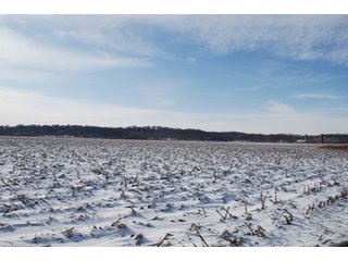Tract 8 - Major Illinois Farmland Auction - 1,322+/- Acres Offered in 9 Tracts