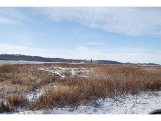 Tract 8 - Major Illinois Farmland Auction - 1,322+/- Acres Offered in 9 Tracts