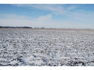 Tract 8 - Major Illinois Farmland Auction - 1,322+/- Acres Offered in 9 Tracts