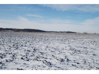 Tract 8 - Major Illinois Farmland Auction - 1,322+/- Acres Offered in 9 Tracts