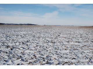 Tract 8 - Major Illinois Farmland Auction - 1,322+/- Acres Offered in 9 Tracts