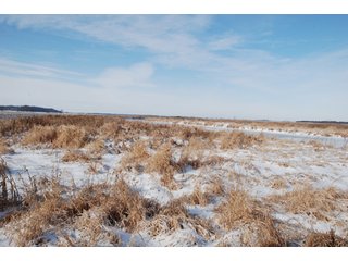 Tract 8 - Major Illinois Farmland Auction - 1,322+/- Acres Offered in 9 Tracts