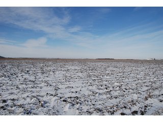 Tract 8 - Major Illinois Farmland Auction - 1,322+/- Acres Offered in 9 Tracts