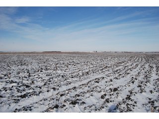 Tract 8 - Major Illinois Farmland Auction - 1,322+/- Acres Offered in 9 Tracts
