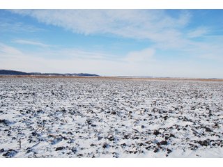 Tract 8 - Major Illinois Farmland Auction - 1,322+/- Acres Offered in 9 Tracts