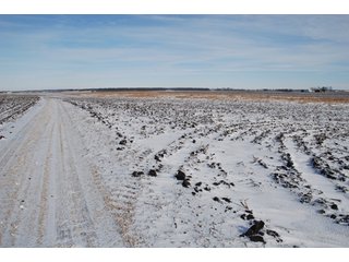Tract 9 - Major Illinois Farmland Auction - 1,322+/- Acres Offered in 9 Tracts