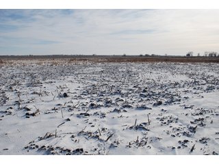 Tract 9 - Major Illinois Farmland Auction - 1,322+/- Acres Offered in 9 Tracts