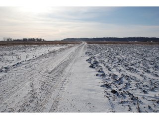 Tract 9 - Major Illinois Farmland Auction - 1,322+/- Acres Offered in 9 Tracts