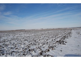 Tract 9 - Major Illinois Farmland Auction - 1,322+/- Acres Offered in 9 Tracts