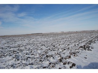 Tract 9 - Major Illinois Farmland Auction - 1,322+/- Acres Offered in 9 Tracts