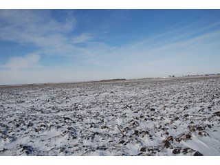 Tract 9 - Major Illinois Farmland Auction - 1,322+/- Acres Offered in 9 Tracts