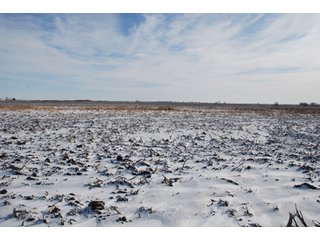 Tract 9 - Major Illinois Farmland Auction - 1,322+/- Acres Offered in 9 Tracts