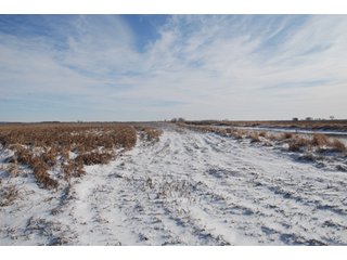 Tract 9 - Major Illinois Farmland Auction - 1,322+/- Acres Offered in 9 Tracts