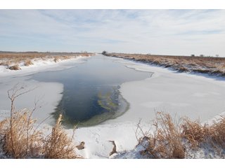 Tract 9 - Major Illinois Farmland Auction - 1,322+/- Acres Offered in 9 Tracts
