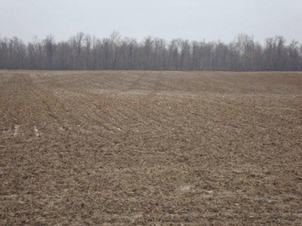 128.5+/- Acres Offered in 2 Tracts - Wooded & Tillable Acres