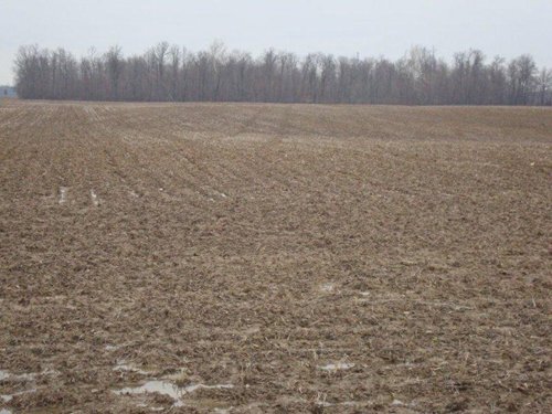Property photo 1 - 128.5+/- Acres Offered in 2 Tracts - Wooded & Tillable Acres
