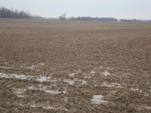 Property photo 11 - 128.5+/- Acres Offered in 2 Tracts - Wooded & Tillable Acres