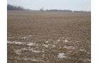 Property photo 11 - 128.5+/- Acres Offered in 2 Tracts - Wooded & Tillable Acres