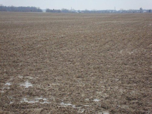 Property photo 6 - 128.5+/- Acres Offered in 2 Tracts - Wooded & Tillable Acres