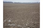 Property photo 6 - 128.5+/- Acres Offered in 2 Tracts - Wooded & Tillable Acres