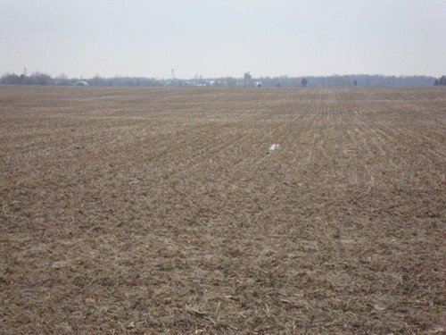 Property photo 10 - 128.5+/- Acres Offered in 2 Tracts - Wooded & Tillable Acres
