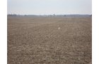Property photo 10 - 128.5+/- Acres Offered in 2 Tracts - Wooded & Tillable Acres