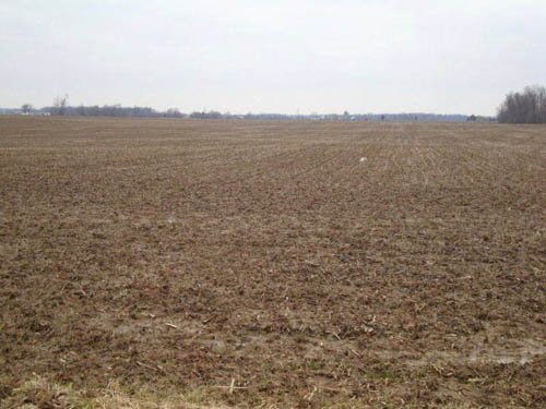 Property photo 8 - 128.5+/- Acres Offered in 2 Tracts - Wooded & Tillable Acres