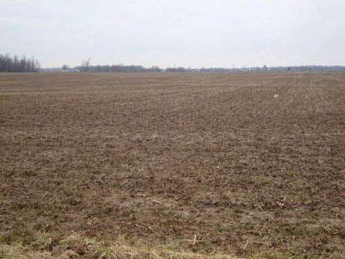 Property photo 9 - 128.5+/- Acres Offered in 2 Tracts - Wooded & Tillable Acres