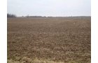 Property photo 9 - 128.5+/- Acres Offered in 2 Tracts - Wooded & Tillable Acres