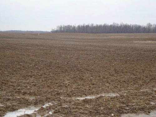 Property photo 5 - 128.5+/- Acres Offered in 2 Tracts - Wooded & Tillable Acres