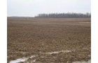 Property photo 5 - 128.5+/- Acres Offered in 2 Tracts - Wooded & Tillable Acres