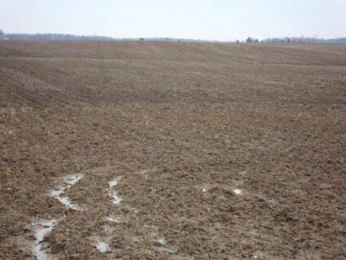 Property photo 2 - 128.5+/- Acres Offered in 2 Tracts - Wooded & Tillable Acres