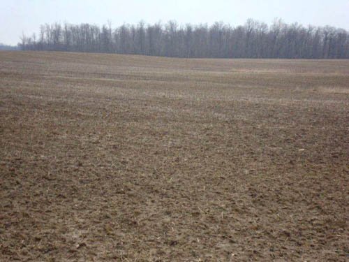 Property photo 4 - 128.5+/- Acres Offered in 2 Tracts - Wooded & Tillable Acres