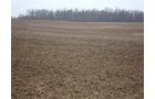 Property photo 4 - 128.5+/- Acres Offered in 2 Tracts - Wooded & Tillable Acres