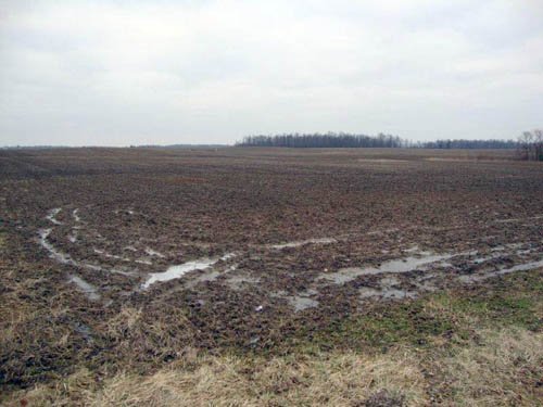 Property photo 3 - 128.5+/- Acres Offered in 2 Tracts - Wooded & Tillable Acres