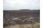 Property photo 3 - 128.5+/- Acres Offered in 2 Tracts - Wooded & Tillable Acres
